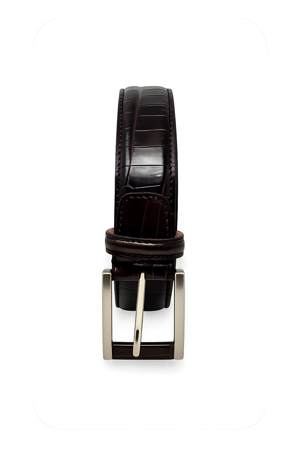 Cintura in Alligatore Moro