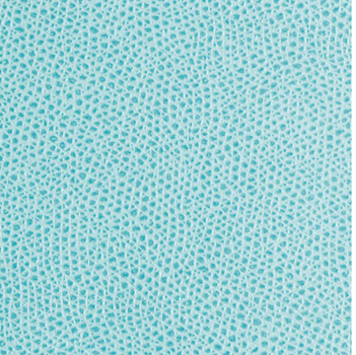 Sottobicchieri David