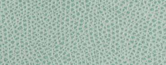 Pacific Thermal caraffa