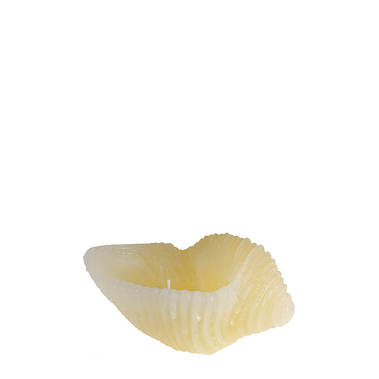 Candela Conchiglia