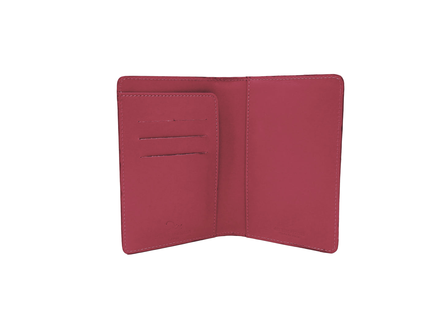 Python Passport Holder