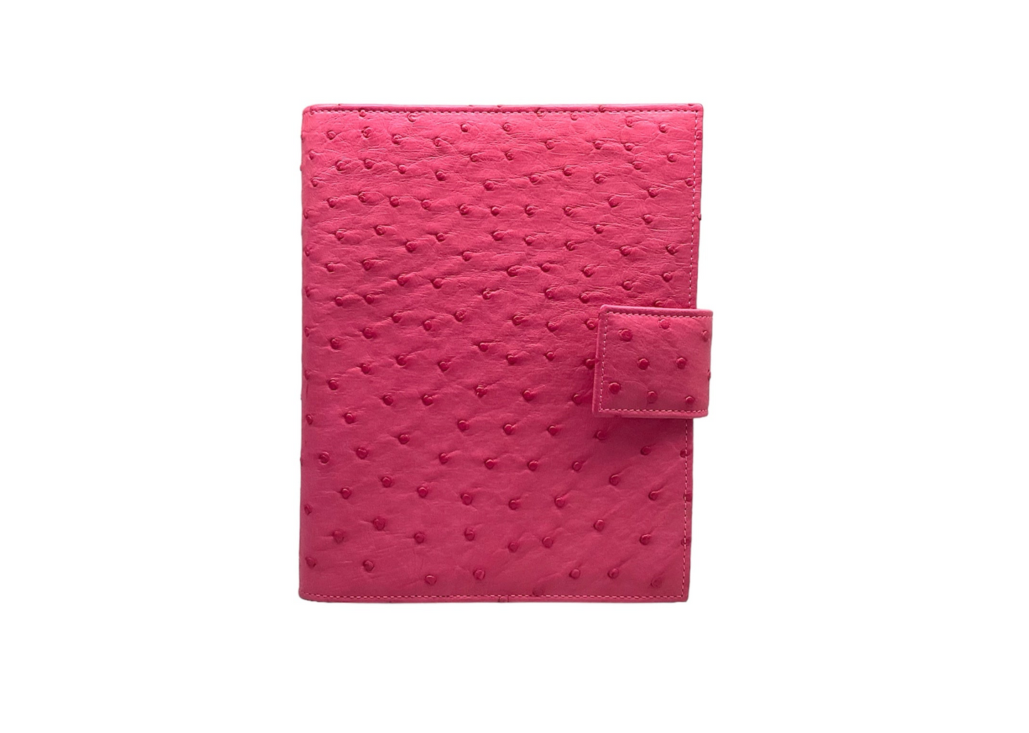 Large Ostrich Agenda