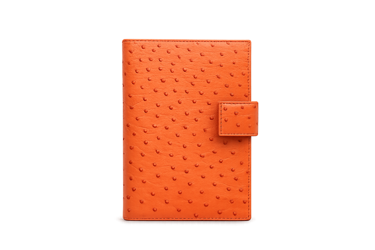 Agenda moyen en autruche