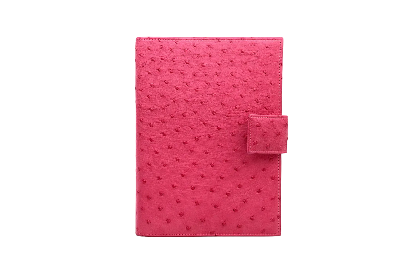 Grand agenda d'autruche