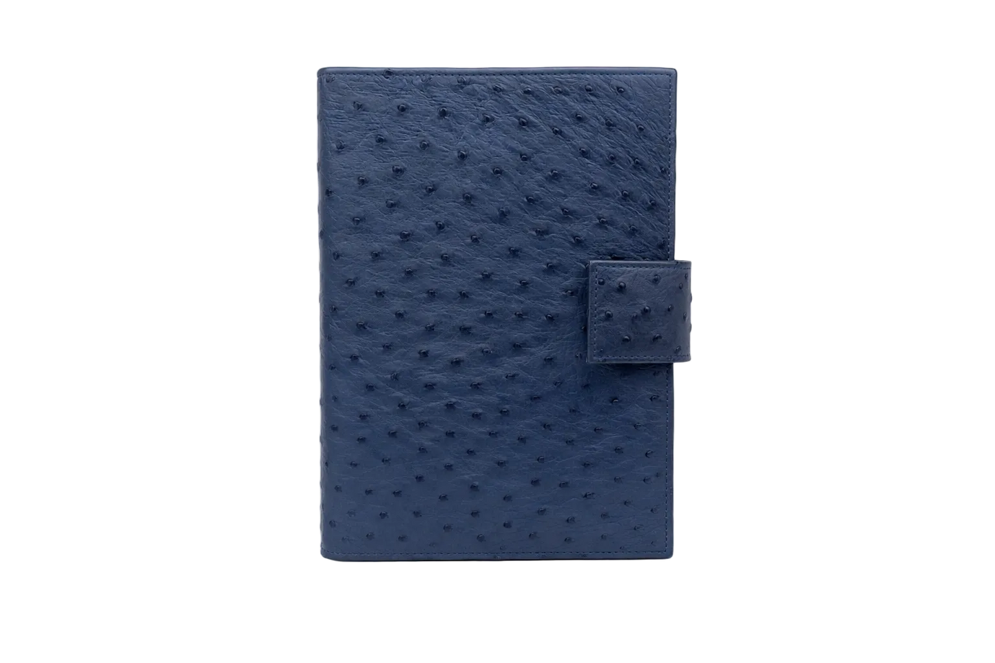 Grand agenda d'autruche