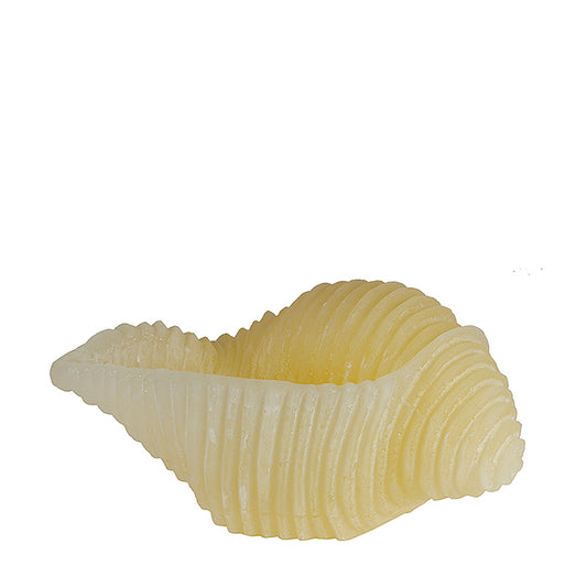 Candela Conchiglia