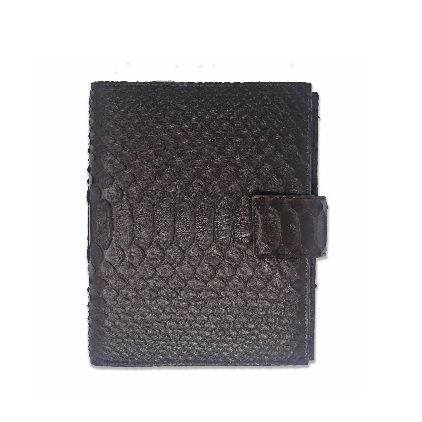 Large Agenda - Brown Phyton