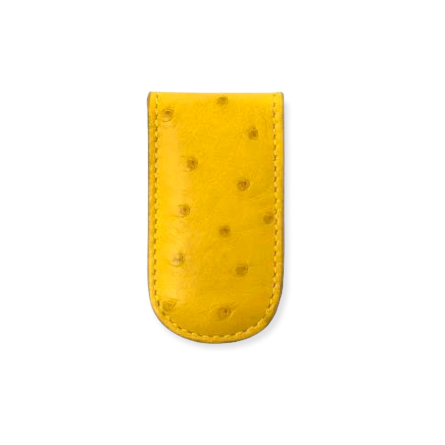 Money Clip | Ostrich